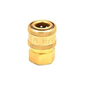 1/4" Quick Coupler Socket-FPT MTM 